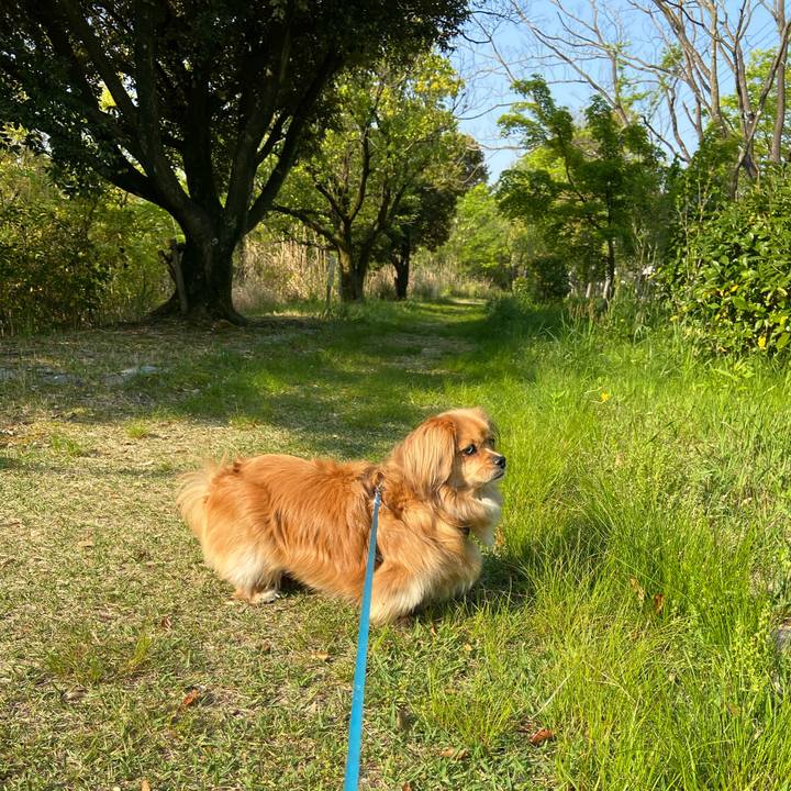 4cfca012 6114 41c4 9d35 cf61b8531574 1588375894618