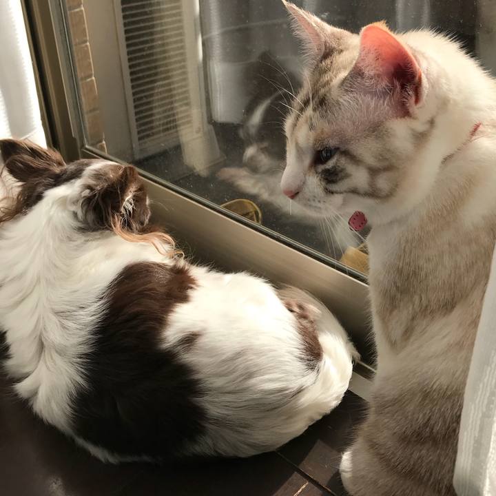 4cfceb4e 913b 4cfa 9237 97f7a03b0628 1511671290726