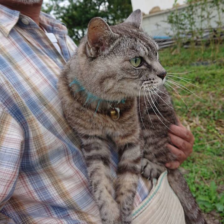 4cfd00ca 8cd0 4dd1 88c9 5a77bcbea1c0 1601323319207