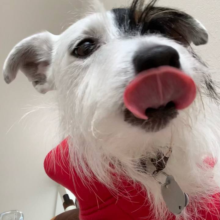 4cfd0919 16d8 4c6b 8196 f62694acea8d 1640148284205