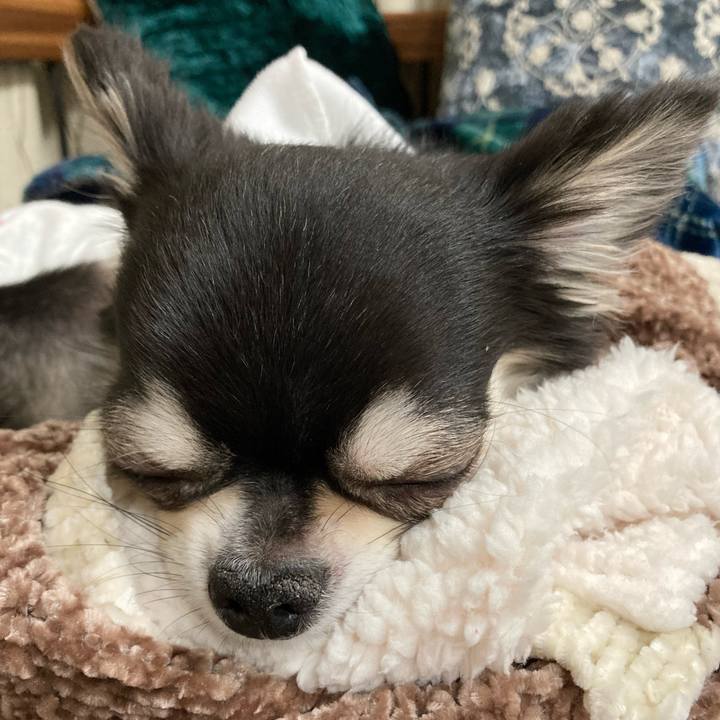 4cfd45ed f9ba 43d1 a000 5d0225243f31 1646574683093