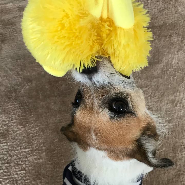 4cfd59c4 a874 4d9a 89dd 2e5d5cff7ac5 1537348546990