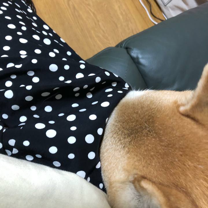 4cfd5d2a e107 490d bc21 f0bec26ce8f7 1599703108228