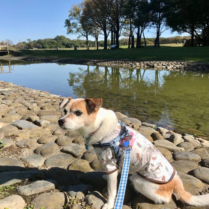 4cfd6c60 caf7 4073 a818 350abcb6b89e 1635048064859