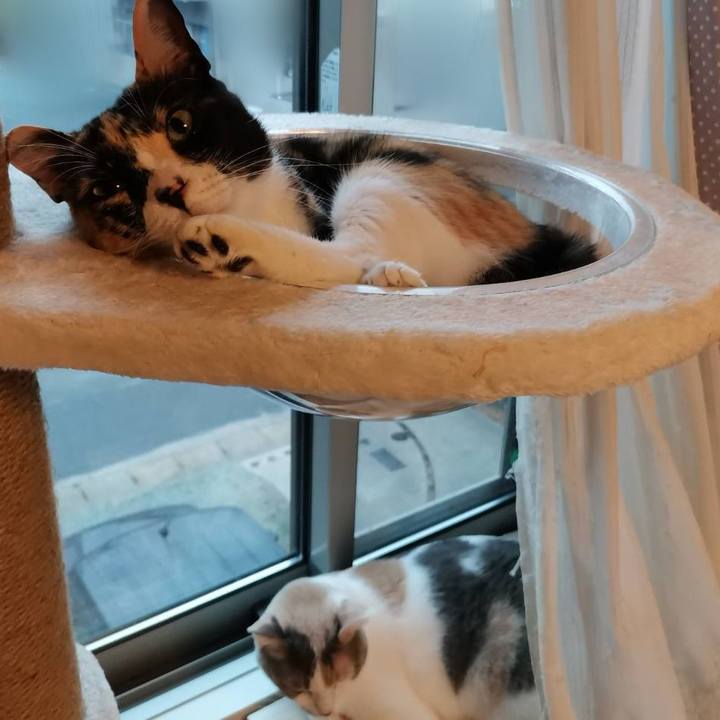 4cfd79f9 3b70 4475 9c7c 9be9e9784145 1663549382007