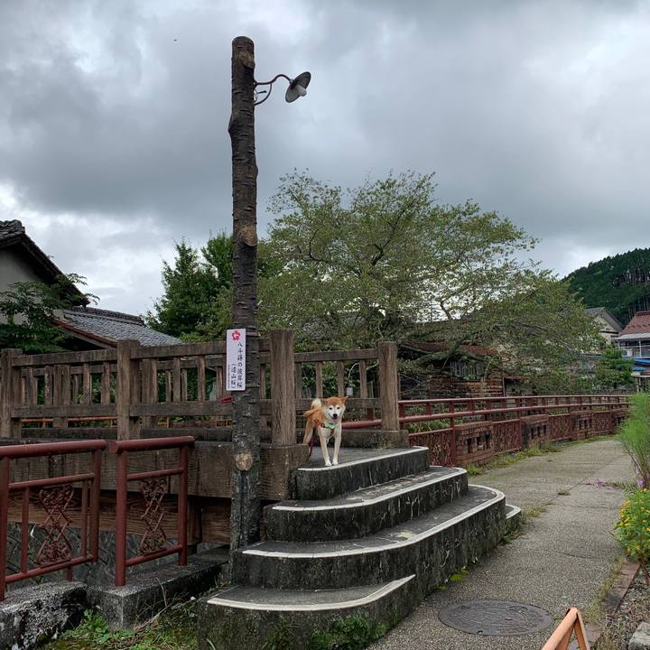 4cfd8c93 772f 4638 ba0e c3be0509b1bd 1601115949026