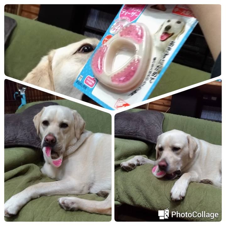 4cfd9909 f49b 41bd bdf7 1c33ba12db6d 1526040095394