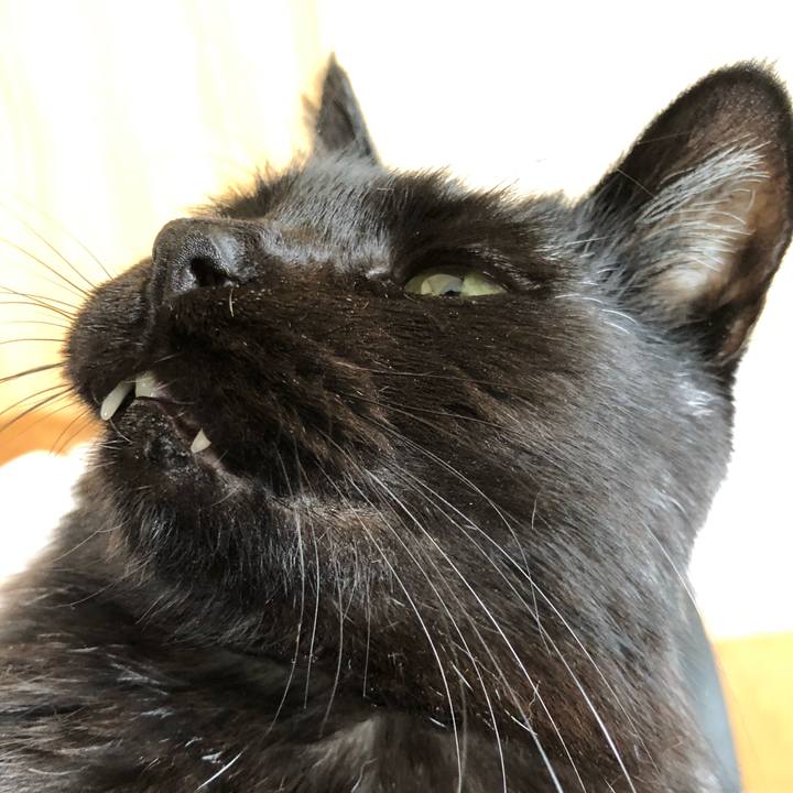 4cfdac38 2b68 450c 906b 98738acd65f8 1604110976366