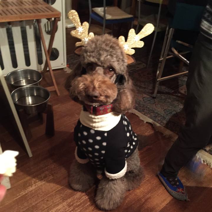 4cfddd47 5823 4fa2 b02c 94d27513130a 1514132318508