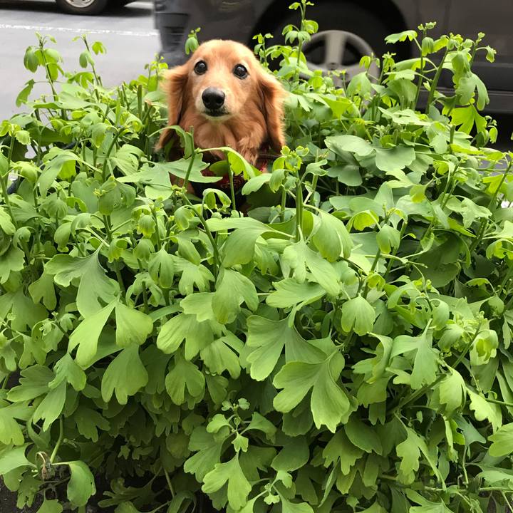 4cfe1e6f 07b6 4b81 93f1 50cd21db7138 1591094475225