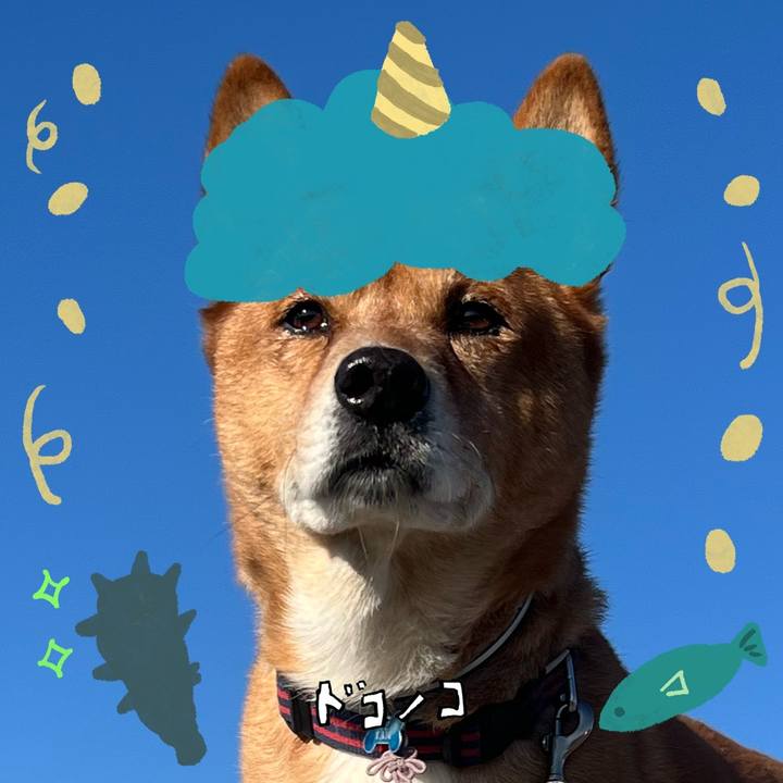 4cfe887f c138 40d2 be7d 4fbe07794ee1 1707009793110