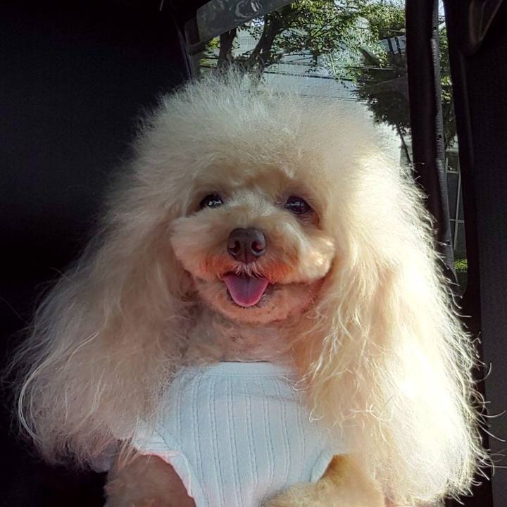 4cfe931f 6c6f 4ff3 9018 eed51fe52c72 1567939233125