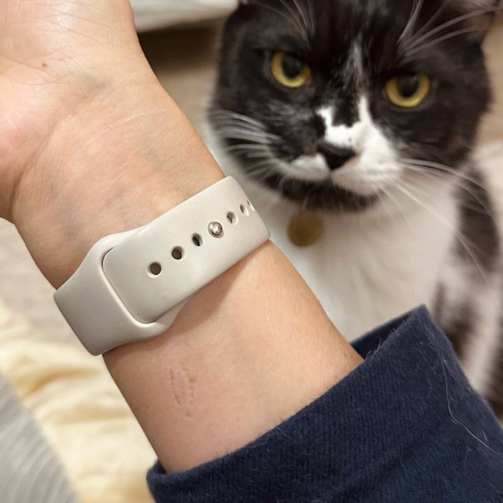 4cfea614 2a64 4c4f 9a82 c0ea5b317578 1762954634345