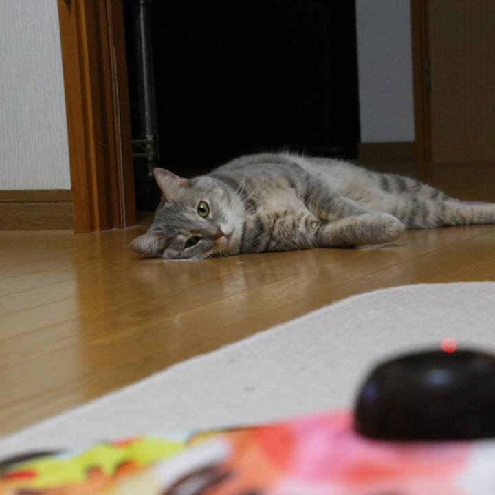 4cfeadd3 1255 42f3 9ecd 25b708f1dcbf 1538829955678