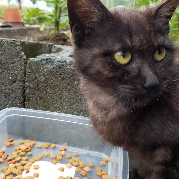 4cfeb0b1 2f33 4a26 8449 5d341fc86062 1560815965083