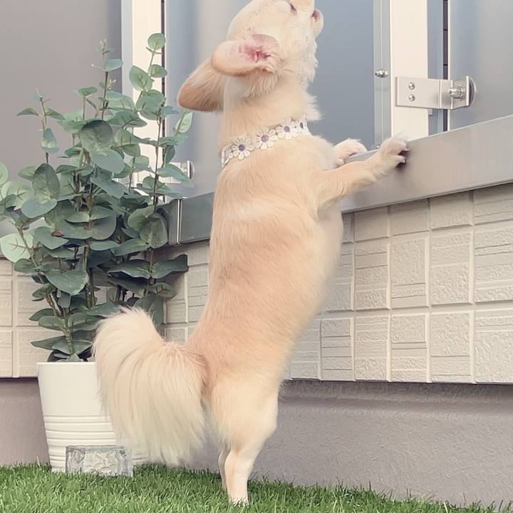 4cfeb722 60fd 4dc0 9974 981ee31d48a6 1687695664587