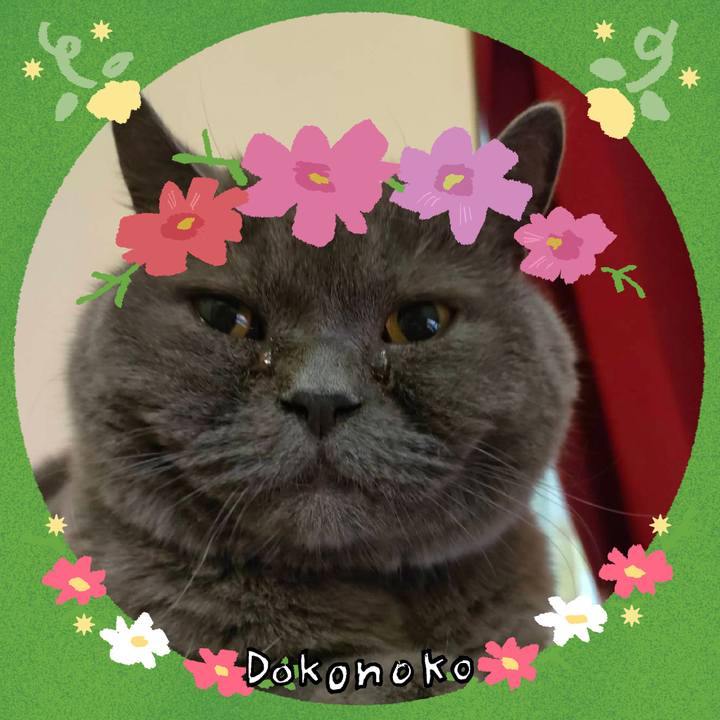 4cfec074 30c6 4c7c 818f e5dee1a09101 1727090103203