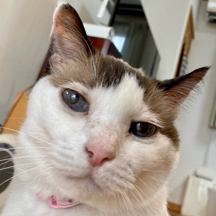 4cfef258 1b32 4fa0 b983 d55844cbdef2 1665549813107