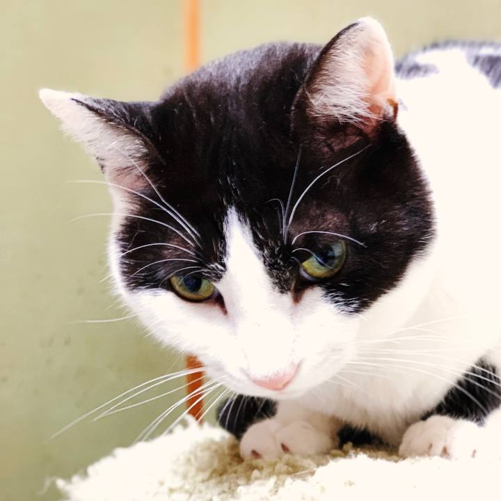 4cff2395 3c7c 489f bcd0 1c6982b0c1bb 1554515596358