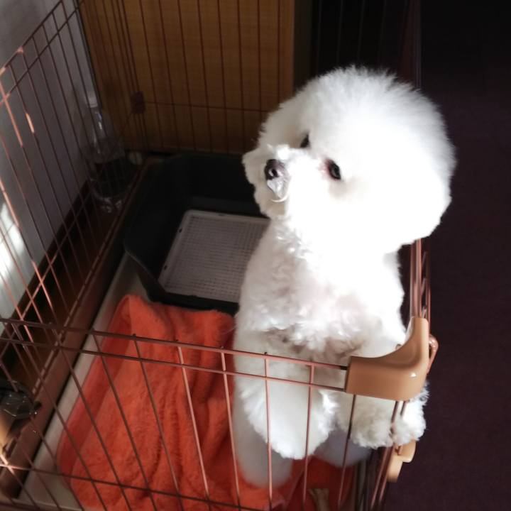 4cff460f f3ac 40a0 aff5 1f0ef5ee96ff 1518424428032