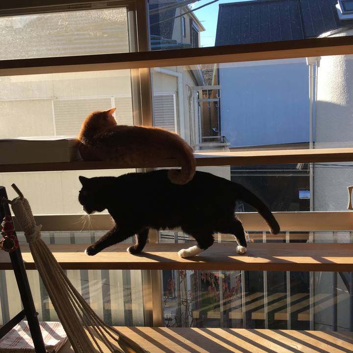 4cff76ac e732 4b4d a49e c7e1b7749d2f 1577578837662