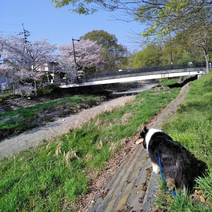 4cff9524 bb14 4c12 88f3 eaf3bc7d25e5 1522852470555