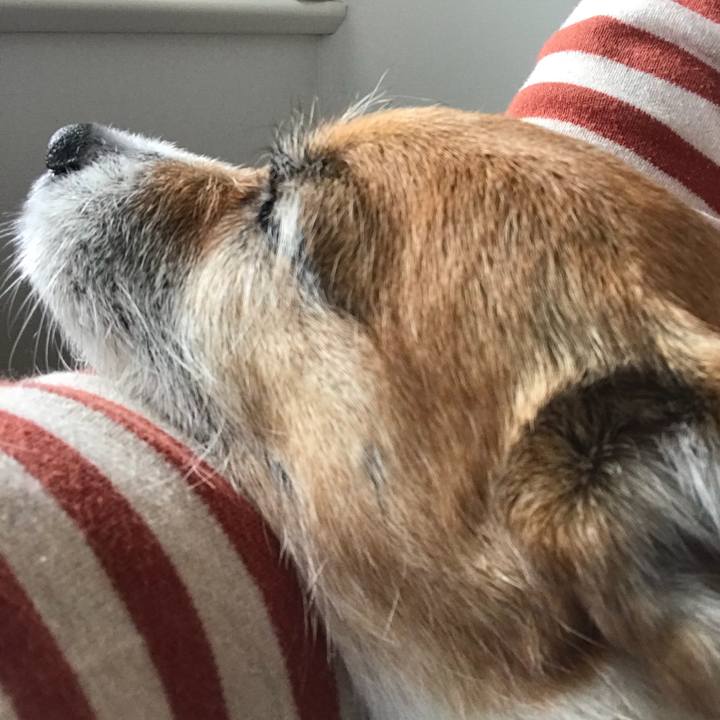 4cff98ec 4a86 4fa0 b260 a87d46fca126 1522372712382