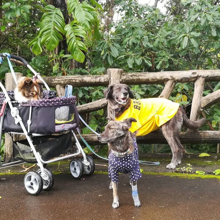 4cff9a0f b1d7 4248 873d 3cb8faa05372 1610008329383