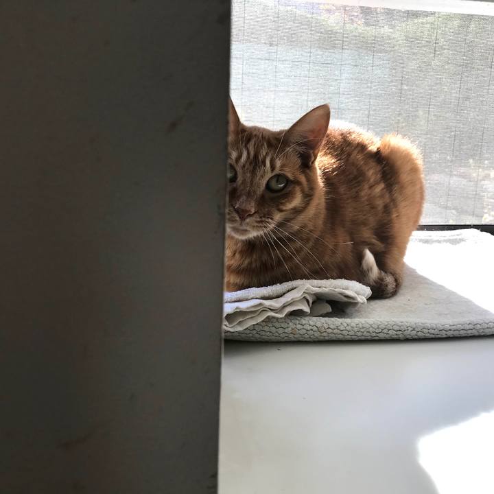 4d00027a ec6a 4dbb ad3b 4c99a757c31a 1575808139856