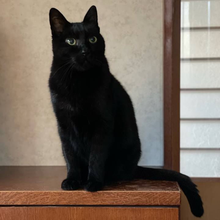 4d000988 894a 47d0 b994 007e560c2948 1638496147176