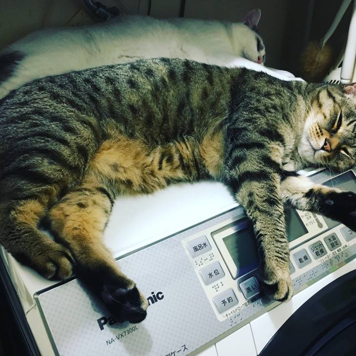 4d000aca c474 4548 a075 1065be8729f9 1637628696177