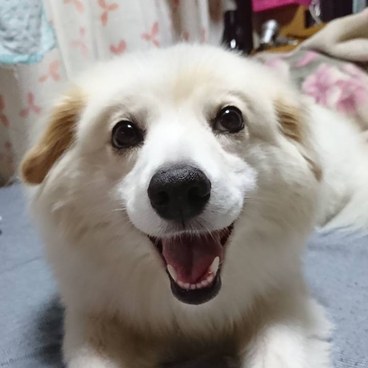 4d000d03 3cc5 4b51 b09e 61e1a9d6cd7e 1535193000948