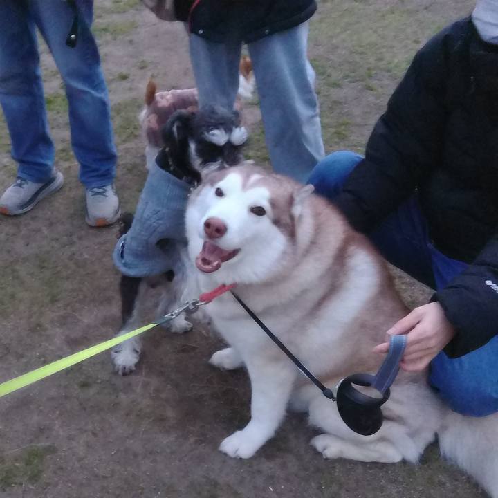 4d00274f 9993 416c 89d9 4594fa45609c 1768219359981