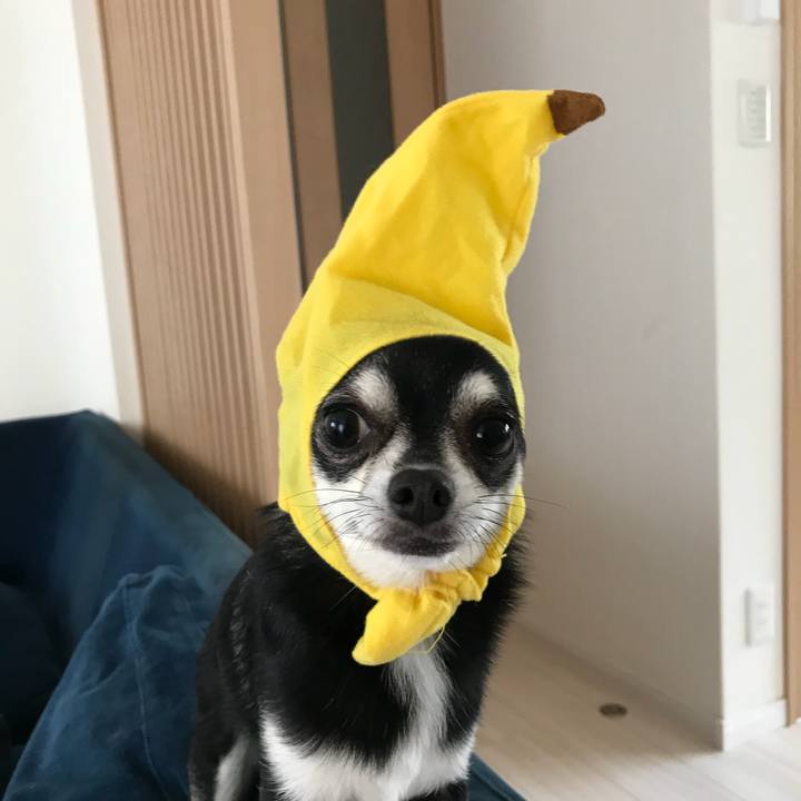 4d003b6f 81fb 4469 9fda e5d766da425b 1528001765512