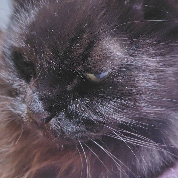 4d00494b 1a82 4e47 9b79 962f215931d2 1765543586690