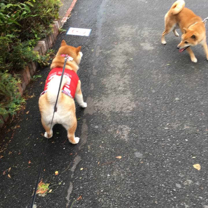 4d0075c2 d08e 4caf b64a e2be67711d86 1567988095089