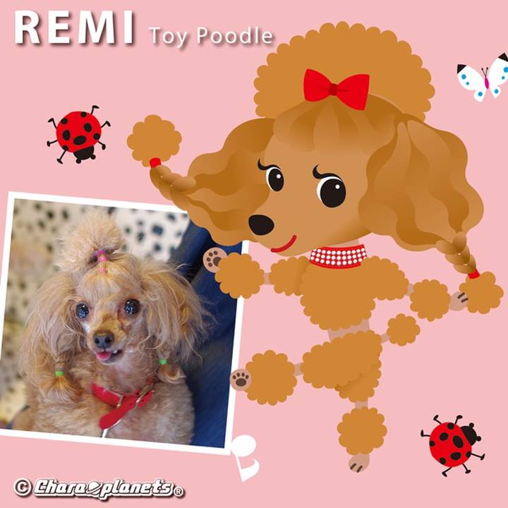 4d00ac2c 8c12 40f0 9986 73f0e796d1dc 1562286214275