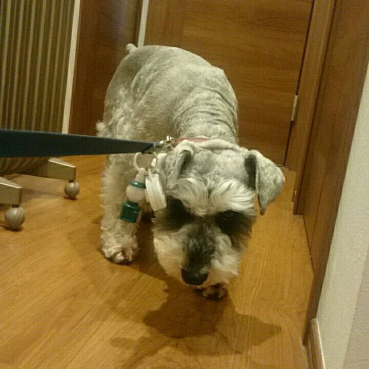 4d00e9fb d0af 4689 87c2 b9519ef90839 1517958190875