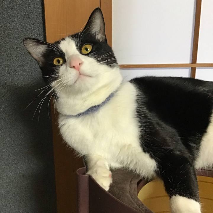 4d0143e0 591f 4153 ab0a 380bccc03313 1645312950067