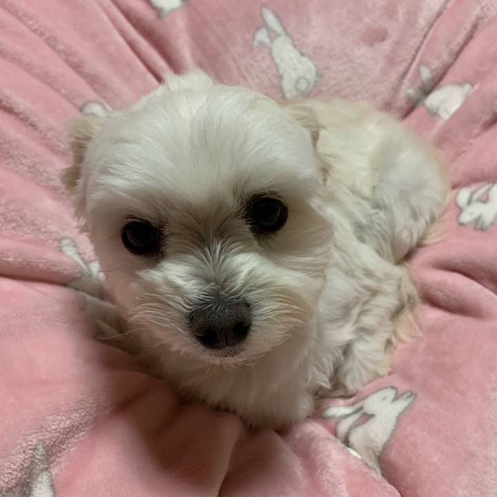 4d016fa3 a8e1 425d ab1f a182b3d80fb9 1577097470580