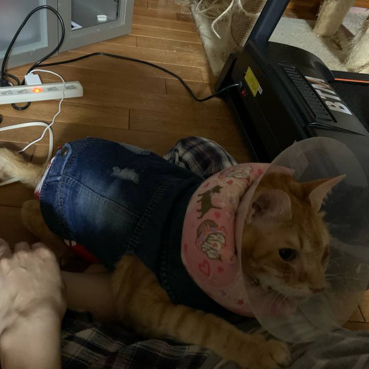 4d019a4c dddf 427b b8af b24986f48d05 1623076027728