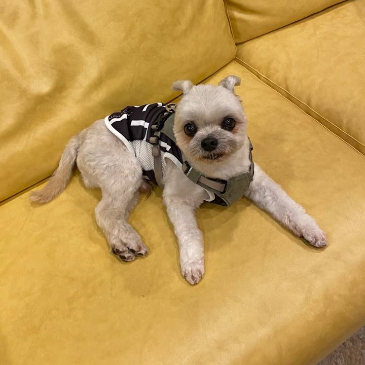 4d01b539 bb38 4856 8b57 42cfaea0f1bf 1754136660727