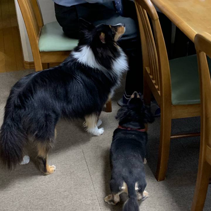 4d01c8ac 40dc 4b87 988e 13067f437d19 1572384606233