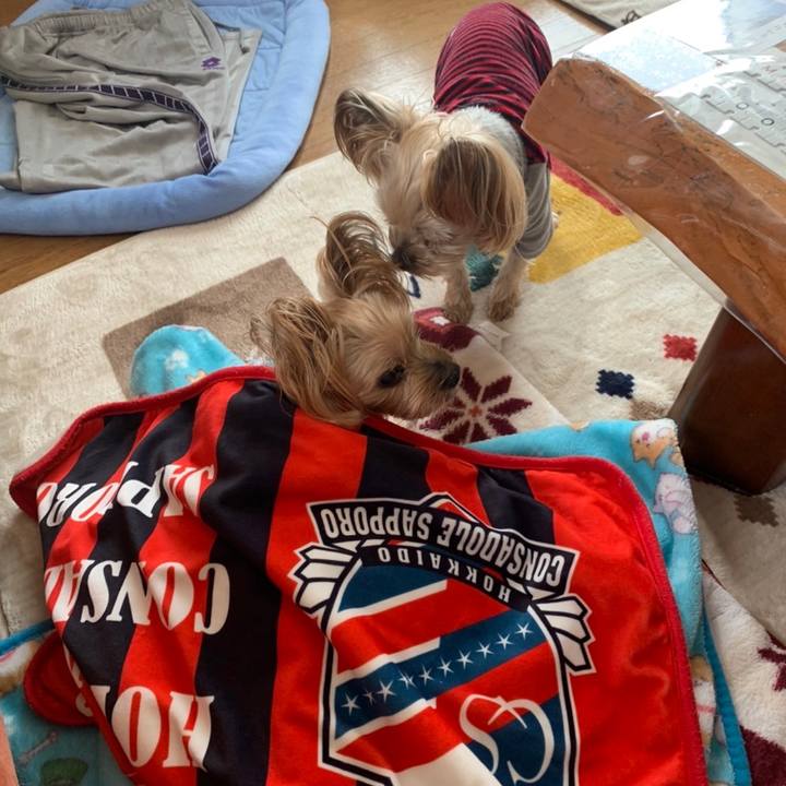 4d01ee05 0106 4b4c be4f fda7b97a7ea7 1641374426139