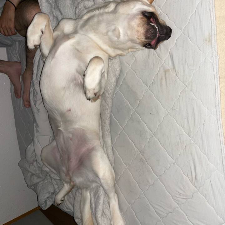 4d01ef7f 9288 4a2f b2d9 0115b9ee1fe4 1659750998922