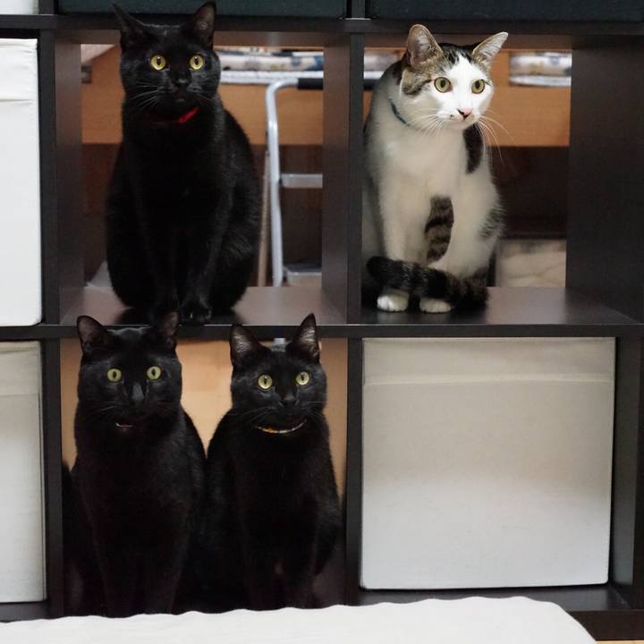 4d01f1d0 5a7b 4e00 8ae5 3742f2af50f8 1551274898413