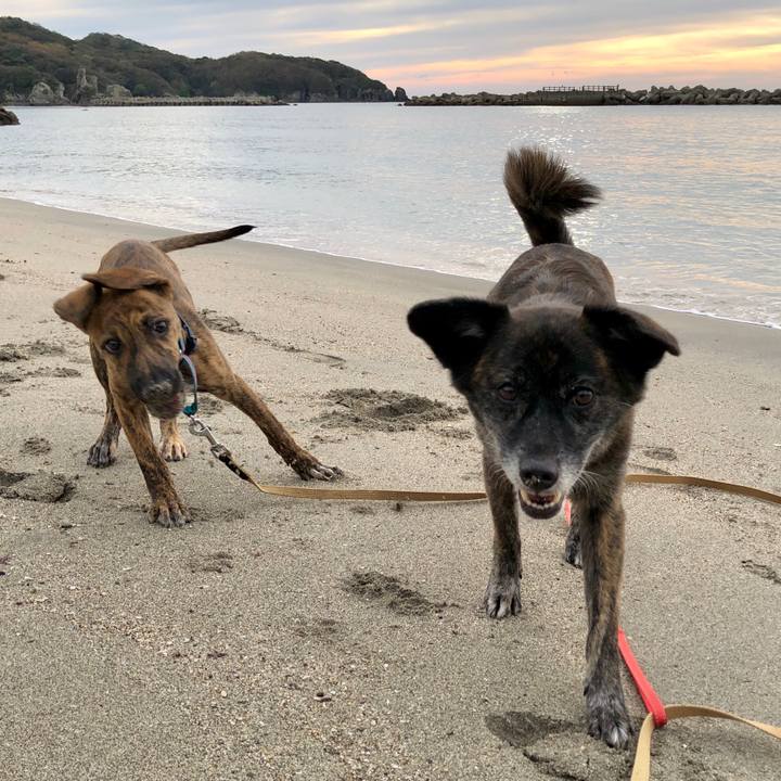 4d024609 193e 4703 9b89 eb79c14ce2d4 1571562980674