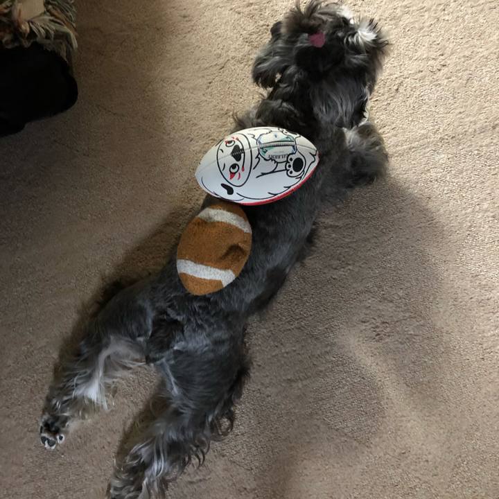 4d0264bb c5cc 4f8d bc7f 4c81202ae6fb 1571635757259