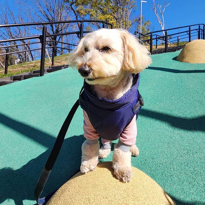 4d02729e 6b43 40b0 ad69 c07711a64a35 1771486485543