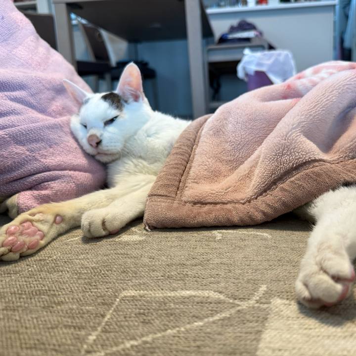 4d02c14f 30d9 487c 8204 19d5951b6151 1770785706301